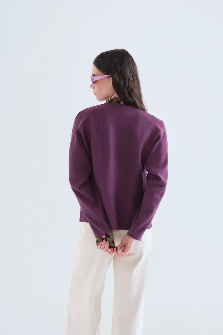 Cardigan di melanzane
