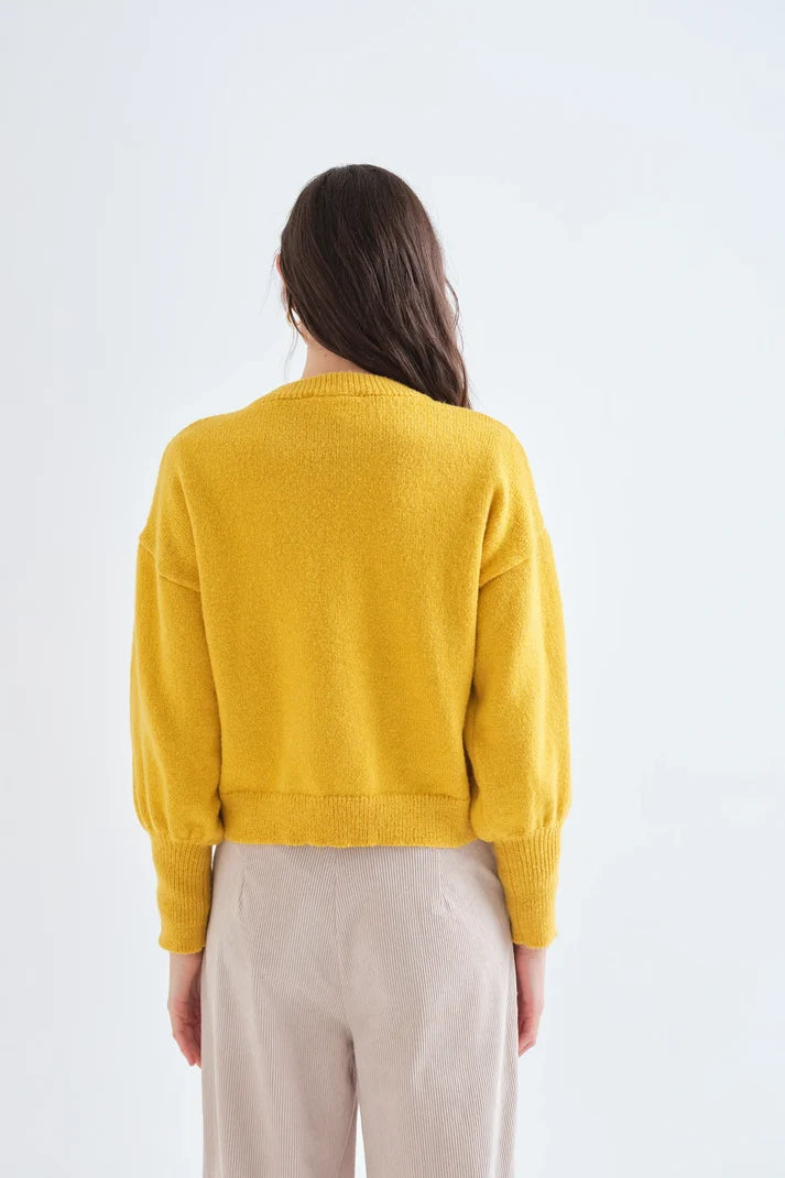 Maglia gialla