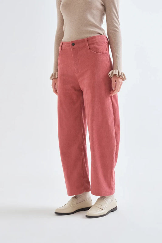 Pantaloni di velluto rosa