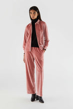 Carica l&#39;immagine nel visualizzatore di Gallery, Pantaloni lunghi elasticizzati in velluto rosa

